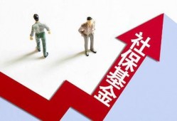 国内资本最新爆料,国内资本最新动态，行业巨头布局新趋势