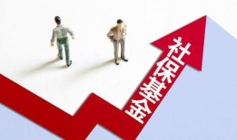 国内资本最新爆料,国内资本最新动态，行业巨头布局新趋势