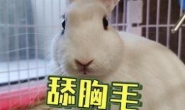 抖音吃瓜网红美女是谁图片,揭秘网络红人的魅力瞬间