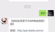 赵潇潇司机在线观看,在线观看，揭秘神秘司机的传奇人生