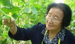 娱乐吃瓜菌生活中,吃瓜菌带你领略幕后风云