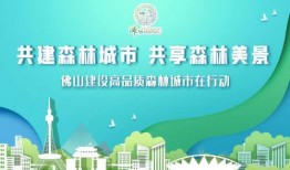 佛山今日爆料新闻,聚焦城市热点事件追踪