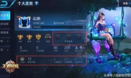 王者爆料樱花视频下载安装,揭秘樱花视频下载安装攻略